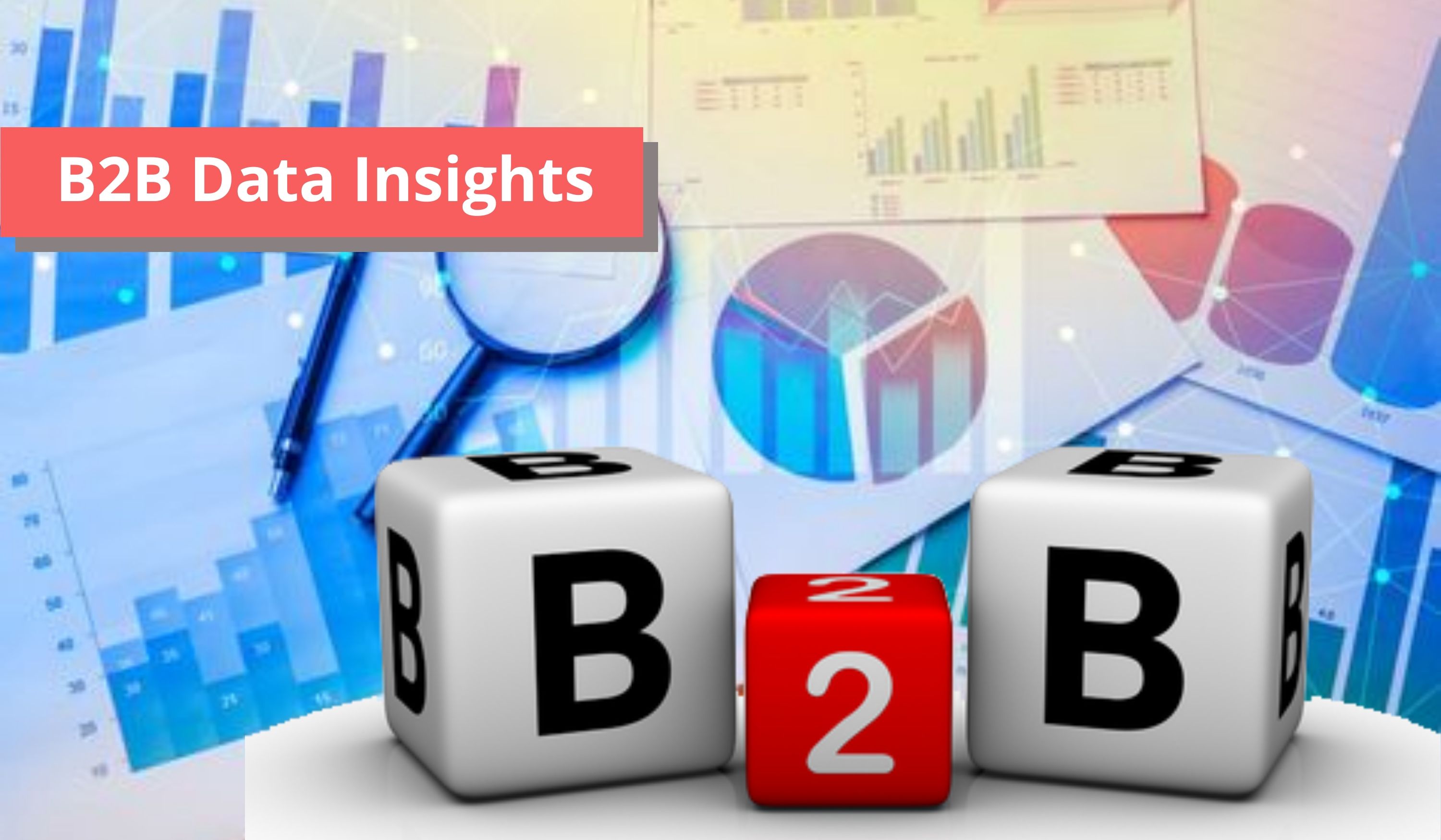 B2B Data Insights - Zaggle Blog